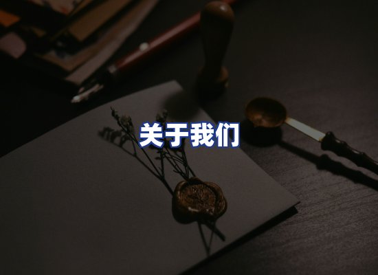 专业团队